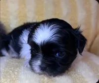 processed/119581aa-0bc3-4e3e-9205-4250c41c1678/listing/cfde3f6a-2e72-42b5-b364-49ab7e7ac370/acb37856-a5a1-41c3-866d-733e09669a53