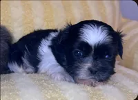 processed/119581aa-0bc3-4e3e-9205-4250c41c1678/listing/cfde3f6a-2e72-42b5-b364-49ab7e7ac370/eea482ed-9508-4924-b347-1d91a4f3acff