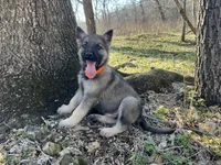 processed/11a0a1bb-493c-4fc2-a200-18932ec92bc5/facility/342e38cd-3da0-4d03-b380-80340aa7a643