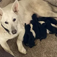 processed/11a0a1bb-493c-4fc2-a200-18932ec92bc5/facility/62c5e233-b382-4bf1-b7bf-e25b1d059c78