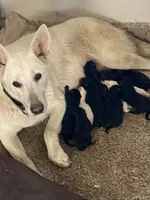 processed/11a0a1bb-493c-4fc2-a200-18932ec92bc5/facility/62c5e233-b382-4bf1-b7bf-e25b1d059c78