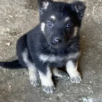 processed/11a0a1bb-493c-4fc2-a200-18932ec92bc5/facility/d2372d3e-ce9e-47fb-b39b-b6f24bf01d8e