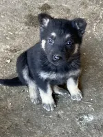 processed/11a0a1bb-493c-4fc2-a200-18932ec92bc5/facility/d2372d3e-ce9e-47fb-b39b-b6f24bf01d8e