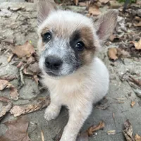 processed/11a0a1bb-493c-4fc2-a200-18932ec92bc5/facility/f7dd09a1-e181-4686-83de-1af4a2d87588