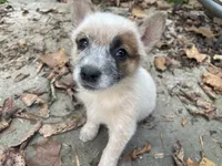 processed/11a0a1bb-493c-4fc2-a200-18932ec92bc5/facility/f7dd09a1-e181-4686-83de-1af4a2d87588