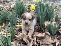 processed/11a0a1bb-493c-4fc2-a200-18932ec92bc5/facility/fcd3c558-e007-4017-a40a-1ba7290c6f38