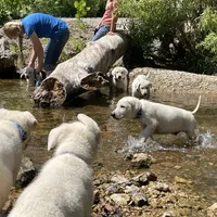 processed/11a0a1bb-493c-4fc2-a200-18932ec92bc5/facility/ff8e5ab8-59eb-4bdf-a671-226b12934223