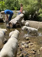 processed/11a0a1bb-493c-4fc2-a200-18932ec92bc5/facility/ff8e5ab8-59eb-4bdf-a671-226b12934223