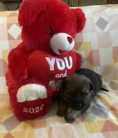 processed/11a0a1bb-493c-4fc2-a200-18932ec92bc5/listing/1068c5d8-140d-43e2-a788-9ed8efcecc3a/b3994a0c-4669-4b14-aa58-a867c823e42c