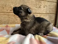 processed/11a0a1bb-493c-4fc2-a200-18932ec92bc5/listing/1068c5d8-140d-43e2-a788-9ed8efcecc3a/b627f5d8-7c98-4cb6-b414-f889bbb10f70