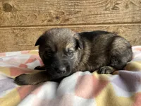 processed/11a0a1bb-493c-4fc2-a200-18932ec92bc5/listing/1068c5d8-140d-43e2-a788-9ed8efcecc3a/f51401b9-94bb-4553-a0e9-2e0ba85448ca