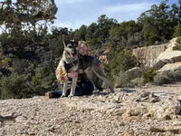 Meadow, a female German Shepherd Dog for sale in Edwards, MO – 6 of 8