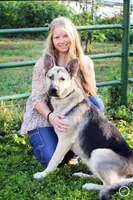 Eben, a male German Shepherd Dog for sale in Edwards, MO – Photo 8 of 9