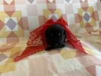 processed/11a0a1bb-493c-4fc2-a200-18932ec92bc5/listing/7d47ad24-0a0f-4af2-a3e6-92adad8c2006/30942324-62e6-4c0f-8952-d9f8360370e6