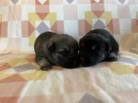 processed/11a0a1bb-493c-4fc2-a200-18932ec92bc5/listing/7d47ad24-0a0f-4af2-a3e6-92adad8c2006/4b800214-3b10-4083-8cd7-cceada4e1749