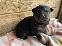 processed/11a0a1bb-493c-4fc2-a200-18932ec92bc5/listing/7d47ad24-0a0f-4af2-a3e6-92adad8c2006/4d7048e5-845d-4a82-84d8-de16102ec509