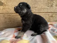 processed/11a0a1bb-493c-4fc2-a200-18932ec92bc5/listing/7d47ad24-0a0f-4af2-a3e6-92adad8c2006/9bcabd10-9229-4054-9c16-3a22bcf9274a