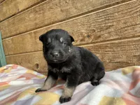 processed/11a0a1bb-493c-4fc2-a200-18932ec92bc5/listing/7d47ad24-0a0f-4af2-a3e6-92adad8c2006/cceea3f4-a337-4469-8a45-0de4b2de3796