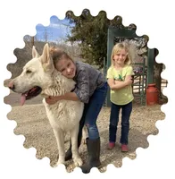 Sly, a female German Shepherd Dog for sale in Edwards, MO – 10 of 10