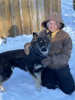 COMING SOON! Trained Deterrent Dog , a male German Shepherd Dog for sale in Edwards, MO – 8 of 10