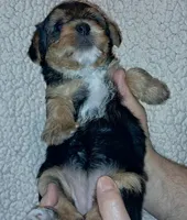 processed/11a27811-3bae-46de-ae18-e2899896eb3c/listing/1167012d-4c19-43b0-9a32-d2de02507020/a96828d9-78b6-40e7-81fd-3c8e2e1dd059