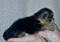 processed/11a27811-3bae-46de-ae18-e2899896eb3c/listing/1167012d-4c19-43b0-9a32-d2de02507020/bc8d2b3a-164d-4343-acba-b91d84d6b35d