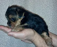 processed/11a27811-3bae-46de-ae18-e2899896eb3c/listing/1167012d-4c19-43b0-9a32-d2de02507020/e025a36f-9d42-41d1-a820-72c0c90eb706