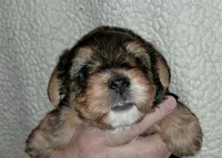 processed/11a27811-3bae-46de-ae18-e2899896eb3c/listing/1167012d-4c19-43b0-9a32-d2de02507020/f6dcd556-69ac-4743-85f7-d0ddc6ed6642