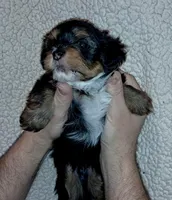 processed/11a27811-3bae-46de-ae18-e2899896eb3c/listing/fc0a5948-ff98-4316-b76e-cc791ef49190/08cfa37a-56ac-40a0-8169-df4dcc196312