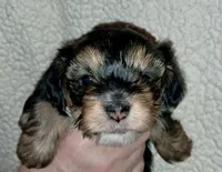 processed/11a27811-3bae-46de-ae18-e2899896eb3c/listing/fc0a5948-ff98-4316-b76e-cc791ef49190/5356888f-7c7a-4129-9ff1-4a1fef699d58