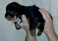 processed/11a27811-3bae-46de-ae18-e2899896eb3c/listing/fc0a5948-ff98-4316-b76e-cc791ef49190/7b1be056-c431-416b-9c87-67736b268ff4