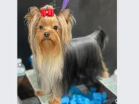 processed/11a42182-beab-4bf7-a01a-fb1cad3d4b09/facility/02b0137d-c256-451c-9f9f-4c79ea9d223f