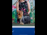 processed/11a42182-beab-4bf7-a01a-fb1cad3d4b09/facility/e2f7dba7-c2d1-4d40-b739-1a0fd4906b6f