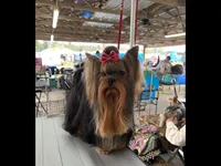 processed/11a42182-beab-4bf7-a01a-fb1cad3d4b09/facility/e3d0e3f9-9c2f-4934-a496-5bebf613b405