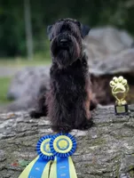 processed/11a85944-50bf-4cb9-bdfb-72a42f163b5f/facility/b6e200f1-190f-4b8c-811c-ff3a459c6711