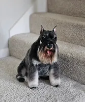 processed/11a85944-50bf-4cb9-bdfb-72a42f163b5f/facility/c43bc7a3-3fb4-4433-9e5d-3a69c1854f01