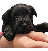 processed/11a85944-50bf-4cb9-bdfb-72a42f163b5f/facility/fb2e2881-9bf8-443e-b505-374403d78fc7