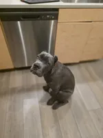 processed/11a932b9-12c9-49f0-b526-ee1a996fec26/listing/74d45df9-c4b5-47c3-b6d8-3e4c2dbbfda5/3d151db0-1e45-47a4-b9a8-8b56953f7371