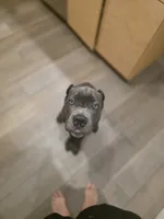 processed/11a932b9-12c9-49f0-b526-ee1a996fec26/listing/74d45df9-c4b5-47c3-b6d8-3e4c2dbbfda5/50993c20-c85f-4cc2-bfd8-71e3383e5145