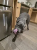 processed/11a932b9-12c9-49f0-b526-ee1a996fec26/listing/74d45df9-c4b5-47c3-b6d8-3e4c2dbbfda5/bee0d549-1b84-4cf6-8ce7-01b56d901c04