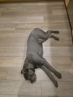 processed/11a932b9-12c9-49f0-b526-ee1a996fec26/listing/74d45df9-c4b5-47c3-b6d8-3e4c2dbbfda5/c36bb110-dcd3-4b90-aa52-f59cc4f56aa9