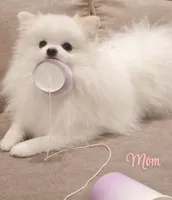 processed/11a93ad9-9c73-4abf-b0ea-a9ec1ae70ce0/listing/65925768-ec05-4b22-917c-e2472e235b60/5f6555f1-4e61-4753-83bc-3bd63875f3e0