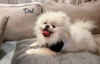 processed/11a93ad9-9c73-4abf-b0ea-a9ec1ae70ce0/listing/65925768-ec05-4b22-917c-e2472e235b60/7196b7ea-bfb0-4393-bd79-90e4eceae837