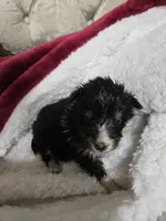 processed/11ae7a84-f9e4-4d39-97c4-c305e2b3b5f6/listing/72873482-1da1-45f8-b639-840012720d2e/2a8d3f35-5109-4cc9-8025-3443b5e0af04