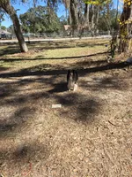 processed/11ae7a84-f9e4-4d39-97c4-c305e2b3b5f6/listing/72873482-1da1-45f8-b639-840012720d2e/2bff2645-261b-4fee-a8a7-923fbfbe26d8