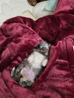 processed/11ae7a84-f9e4-4d39-97c4-c305e2b3b5f6/listing/f6e2e9e7-bf36-4a40-bf5c-b682363b847e/0da00fe5-956c-403f-87a3-e99cf47d6ba0