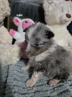 processed/11ae7a84-f9e4-4d39-97c4-c305e2b3b5f6/listing/f6e2e9e7-bf36-4a40-bf5c-b682363b847e/2b587b3d-b2dc-4c8a-82a5-a062f871c9c9