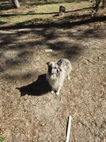 processed/11ae7a84-f9e4-4d39-97c4-c305e2b3b5f6/listing/f6e2e9e7-bf36-4a40-bf5c-b682363b847e/755d3f64-dc7f-4945-af59-97115ea46cff