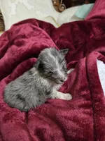 processed/11ae7a84-f9e4-4d39-97c4-c305e2b3b5f6/listing/f6e2e9e7-bf36-4a40-bf5c-b682363b847e/9d708201-fab2-4fed-918a-452ee16fdaa3