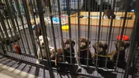 Facility photo